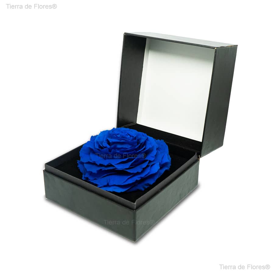 Rosa eterna Azul para hombre - Tierra de Flores Quito