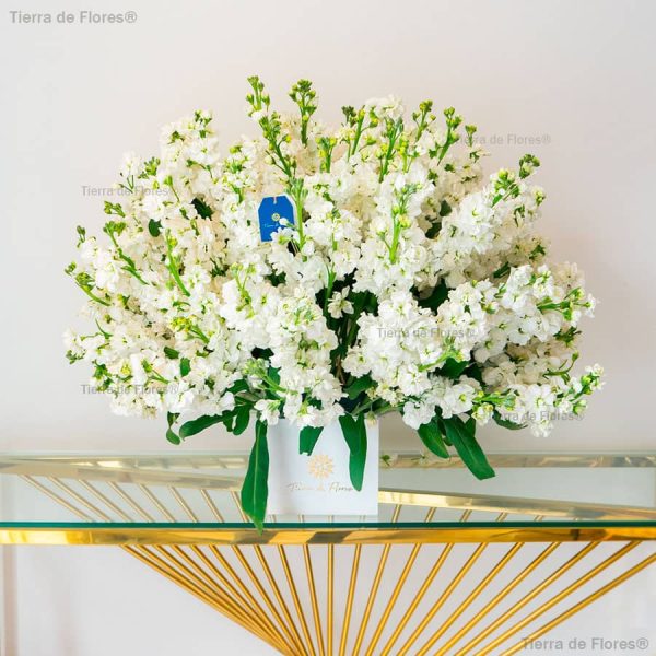 arreglo floral con aleli blanco sobre una mesa
