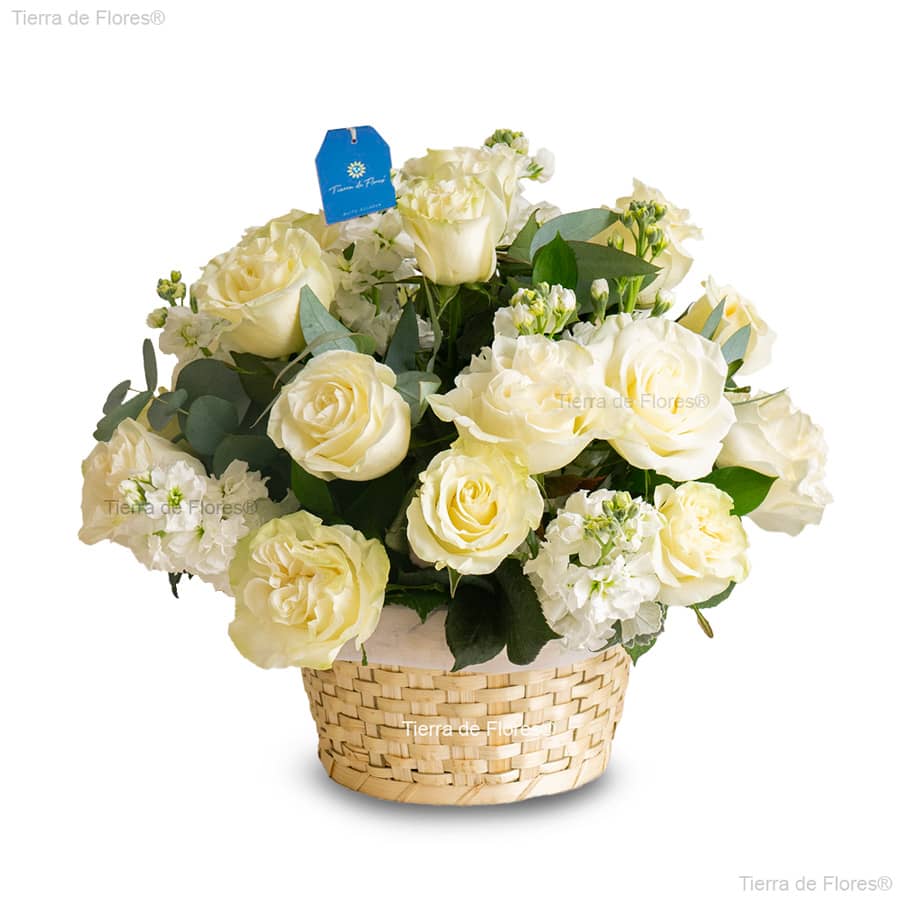 canasta con rosas blancas para condolencias